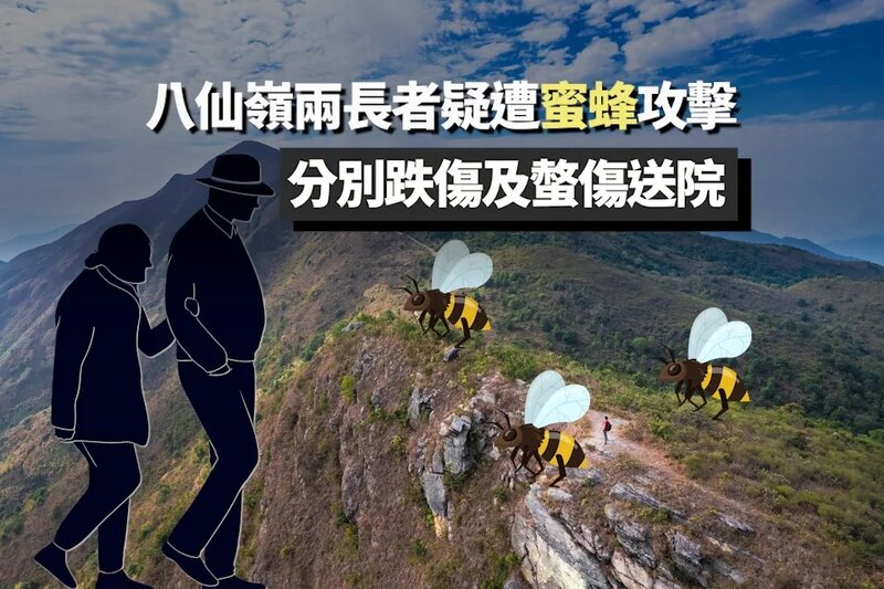 八仙嶺兩長者疑遭蜜蜂攻擊 分別跌傷及螫傷送院.jpg