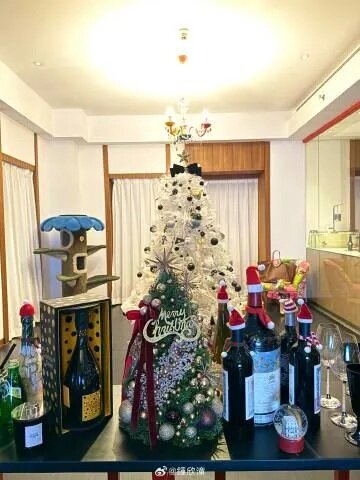 7  阿嬌最近開聖誕P.jpg