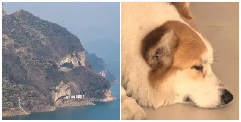 1  湖北宜昌有山脈外形酷似一隻小狗趴在江邊。照片令該山稱網民稱為「小狗山」和「狗.jpg