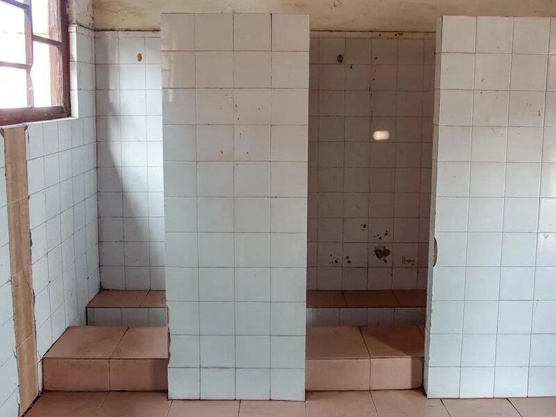 1 內地有人自稱無戴口罩去公廁，在廁格逗留只有數分鐘，事後不到一小時後便出現嚴重腸.jpg