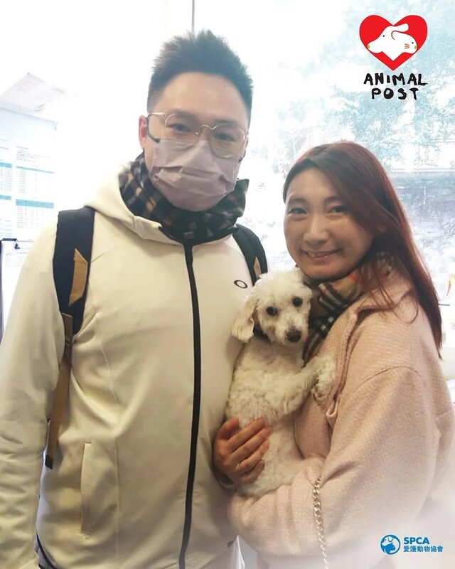 4   狗狗在今年2月獲得領養，重過新生。.jpg