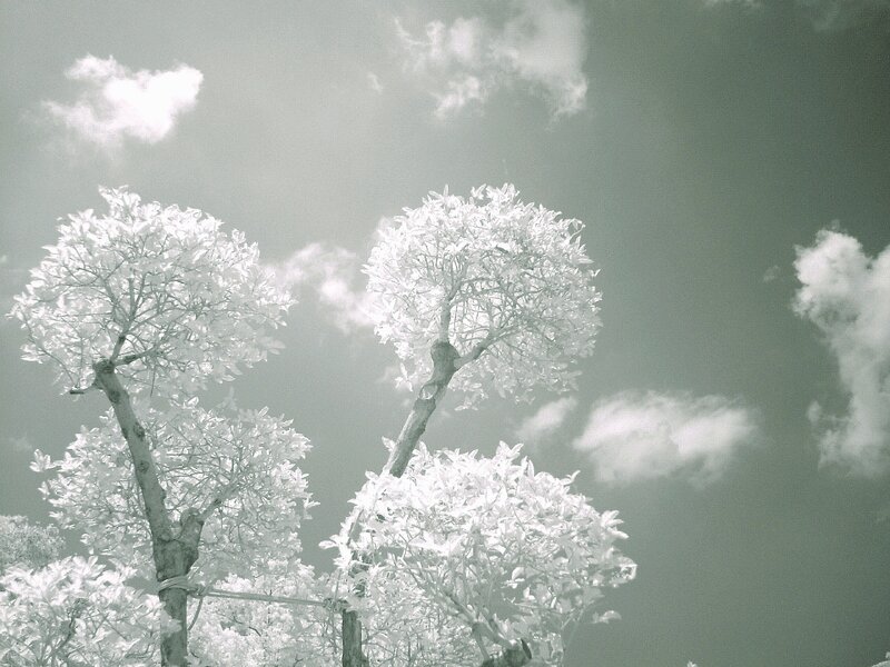 Photo editing_Cloud20200902_14.jpg