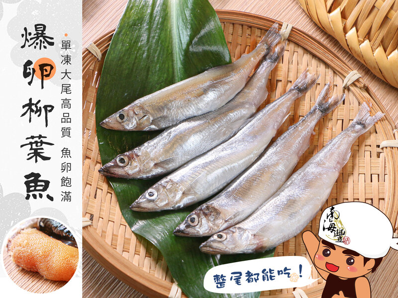 柳葉魚.jpg