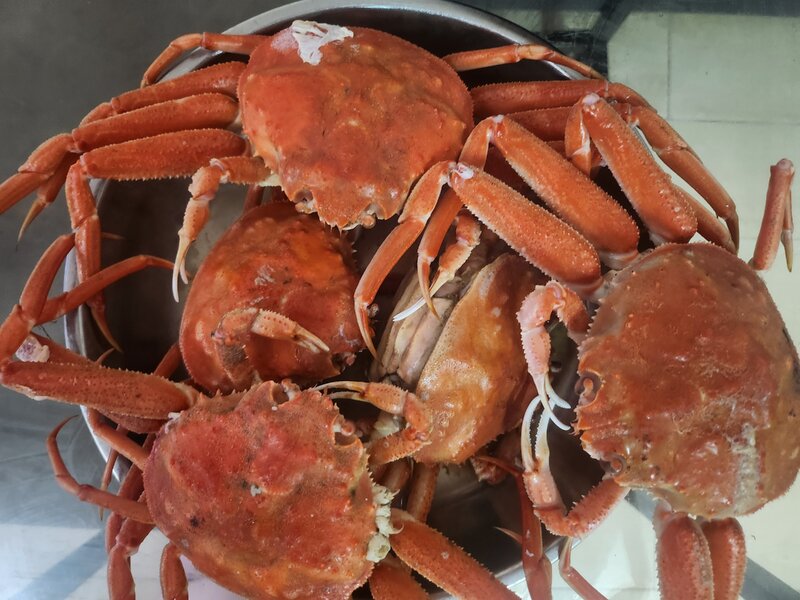 香箱蟹.jpg