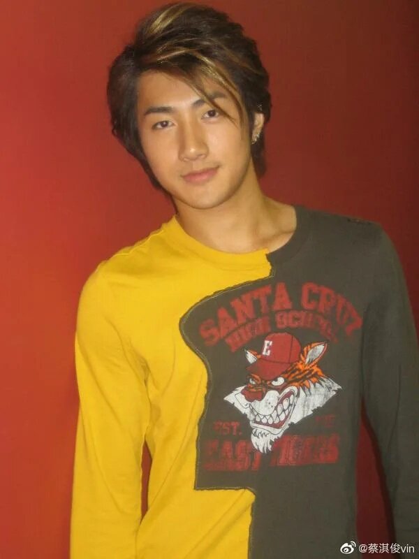 5   蔡淇俊當年拍攝劇集《赤沙印記@四葉草.2》一度走紅，有「翻版霆鋒」之稱。.jpg