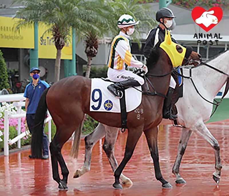 3 樂加福享年6歲。.jpg