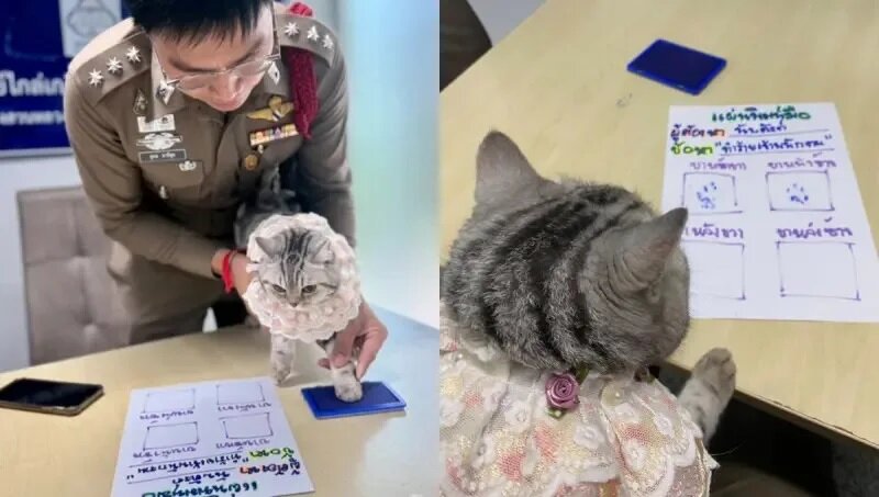 2 警員因此「正式逮捕」這隻「不知悔改」的貓咪，小貓被逮捕後，經過拘留審問、留下爪.jpg