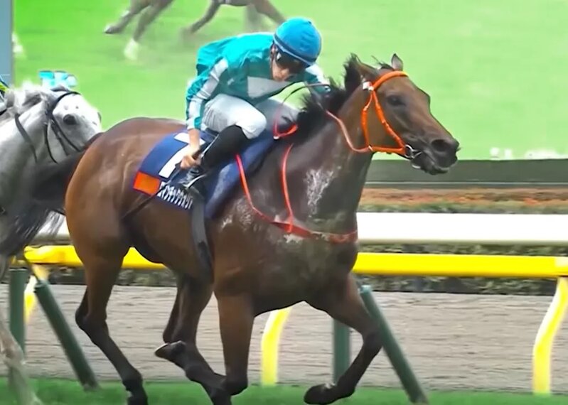 4  劉栢輝名下愛駒浪漫勇士係去年香港馬王（HKJC影片截圖）.jpg