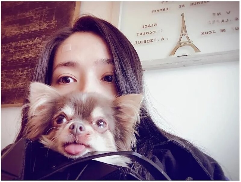 4 郭碧婷愛心爆棚.jpg