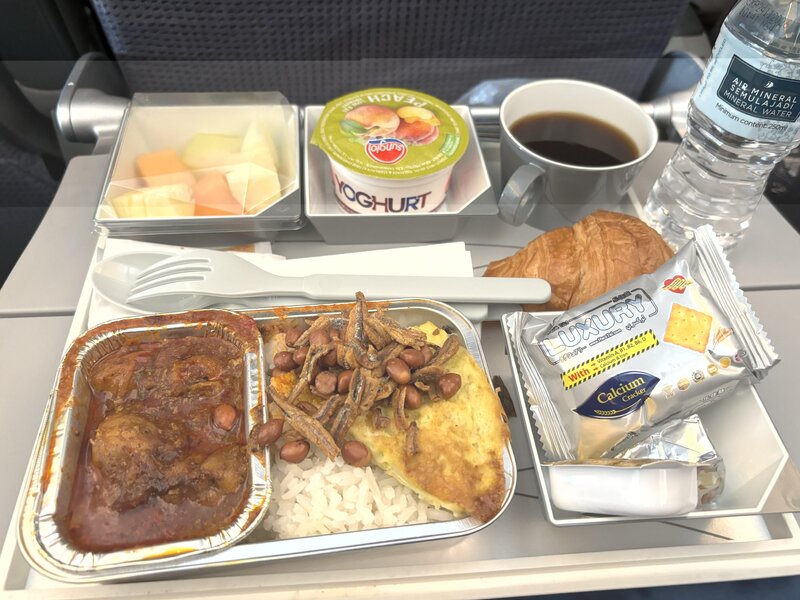 Malaysia Airlines   -  104.jpg