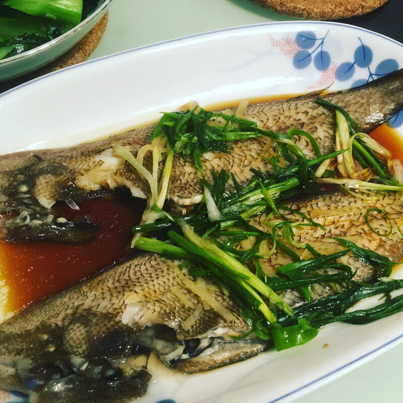 蒸撻沙魚.jpg