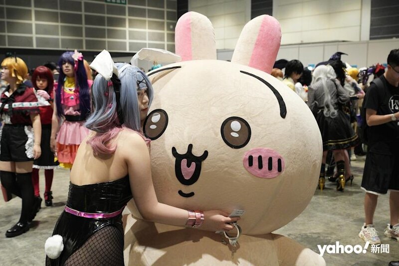 2 兔兔 Usagi 深受歡迎。.jpg