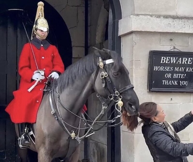 Pulling Hair - Copy.jpg