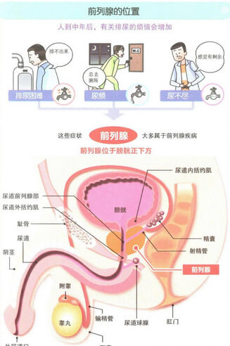 photo_2025-03-10_11-19-37 - Copy - Copy - Copy - Copy - Copy - Copy - Copy - Cop.jpg