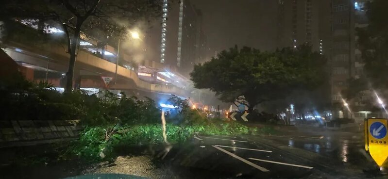 2 他形容，清晨風勢「好大」，沿路亦見多處塌樹與雜物飛散。.jpg