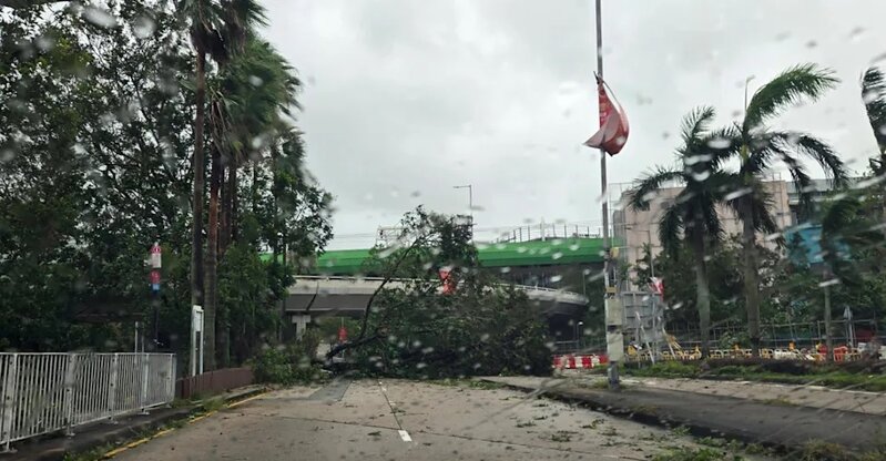 3 Anson 由9月23日晚由晚上 8 點開車至翌日約 1 點多，其後休息數小時，清晨 4 點半再.jpg