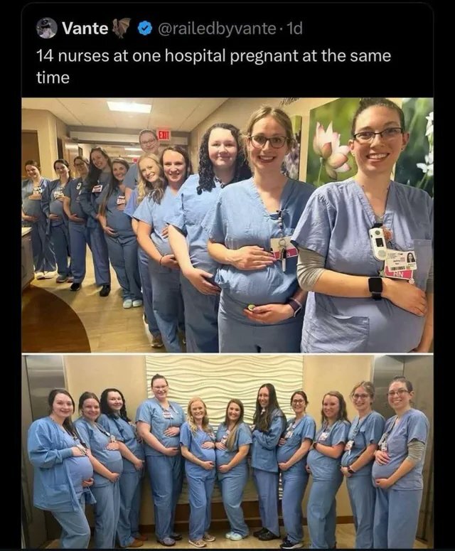 Wild Party - Copy.jpg