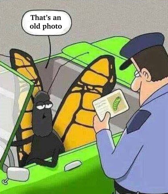 Old Picture - Copy.jpg