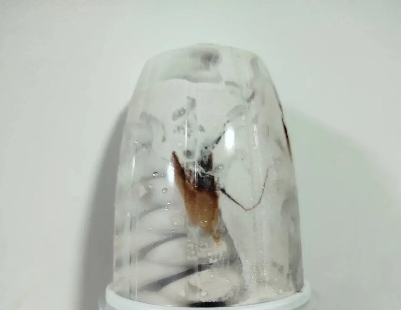 網上熱話｜雪糕朱古力醬黐包裝蓋激似蟑螂 網友調侃「差啲報食環」.jpg