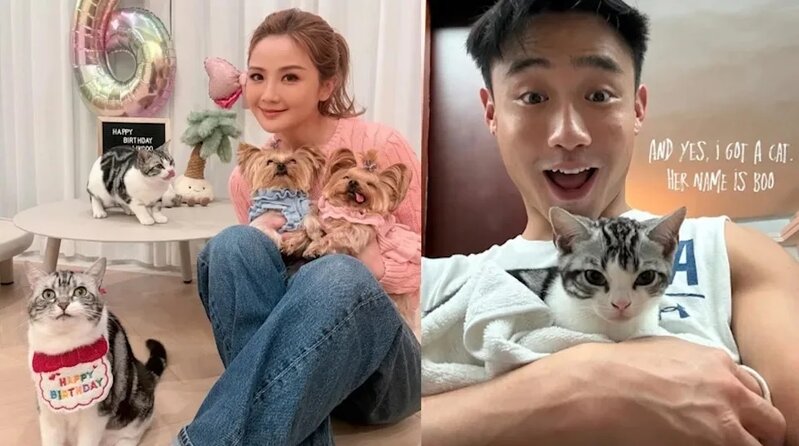 5 阿Sa與健身教練Elvis因同一隻貓而令戀情泄密。.jpg