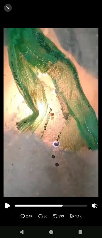 2 怡勝花園居民自行測試圍網的防火性能，甫點火即迅速燃燒。.jpg