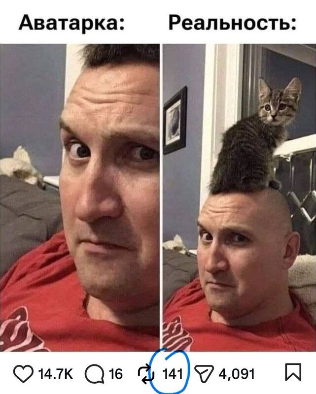 1000126015.jpg