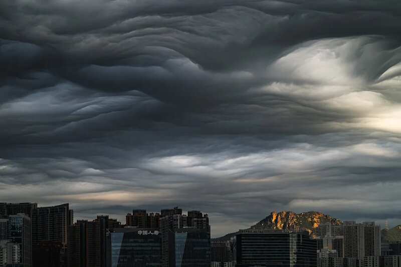 相關相片於 12 月 20 日在東岸公園拍攝，由 Carlo Yuen 攝得。.jpg