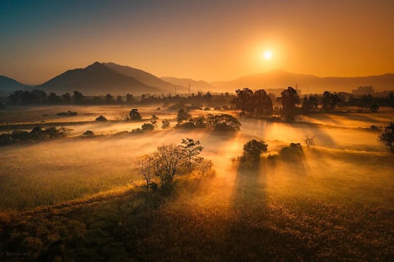 元朗南生圍冬日晨霧，天文台大讚為世外仙境。(香港天文台 HKO).jpg