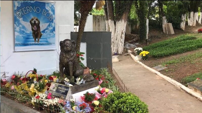 3 動保組織透過眾籌，於 2022 年在墓園內為鮑勃豎立雕像。.jpg