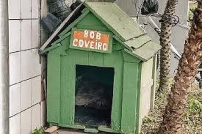 2 職員為鮑勃提供狗屋，並定期為牠提供食物、洗澡及接種疫苗。.jpg