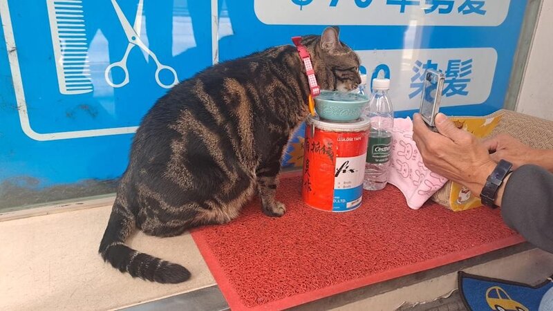 2 阻B即場開餐。.jpg