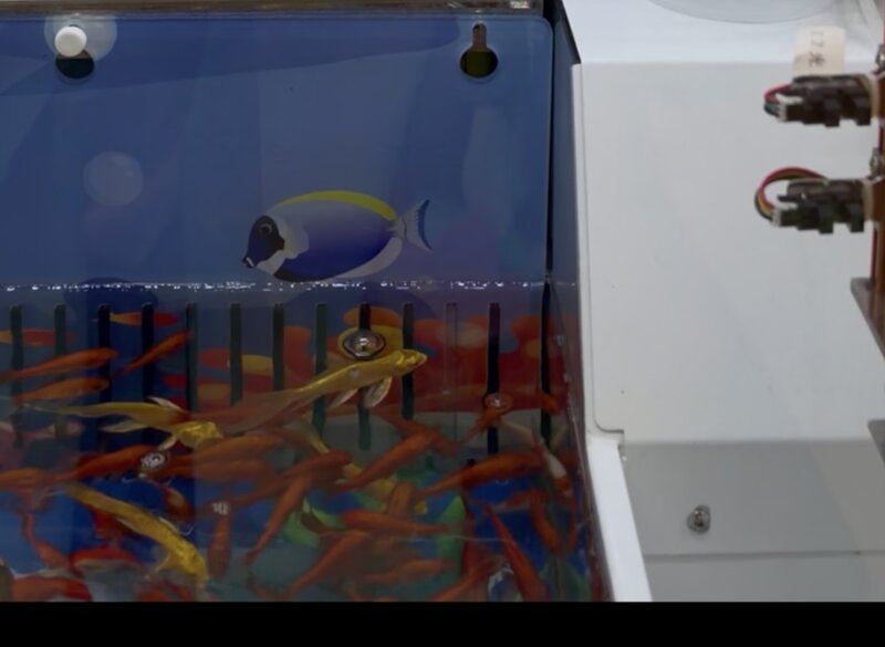 3 雖然倉鼠機已經撤場，但電玩城外圍隨即換上 6 台「漁樂碼頭」活體水生動物捕撈設備。.jpg