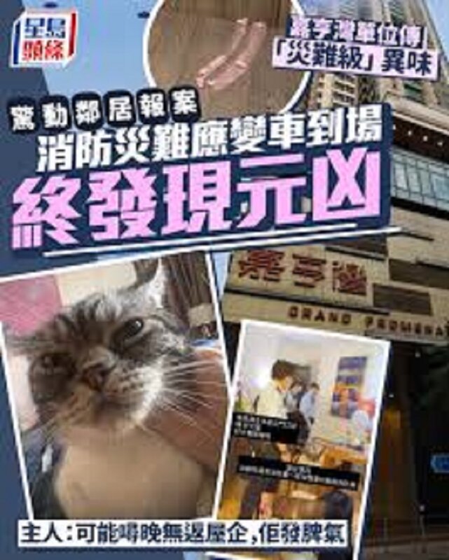 嘉亨灣單位傳「災難級」異味鄰居報案 氣味源自主子「報復式」貓屎.jpg