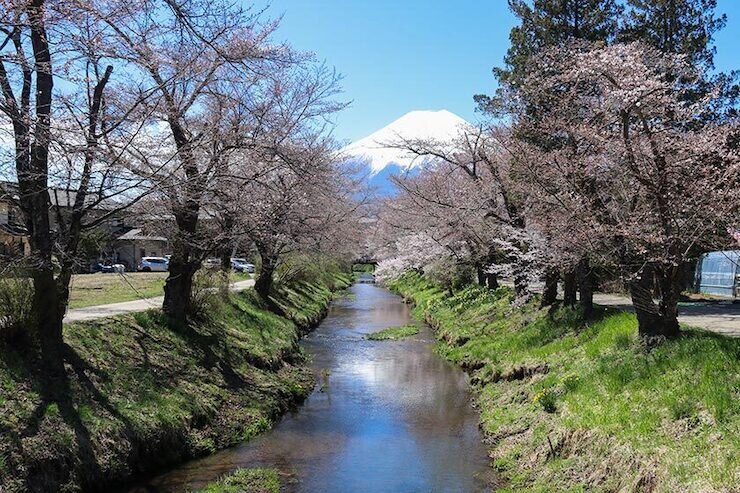 260408_fuji_11.jpg