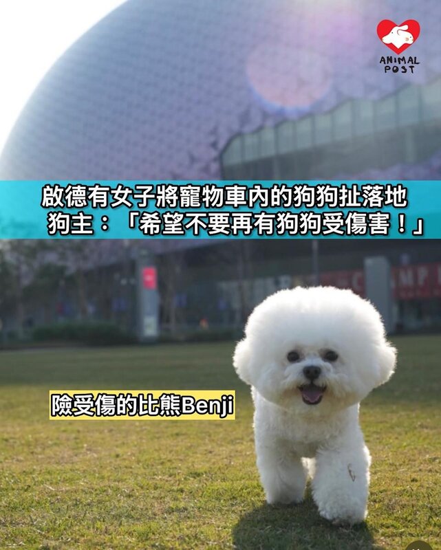 啟德有失常女子將寵物車內的狗狗扯落地 狗主：「希望不要再有狗狗受傷害！」.jpg