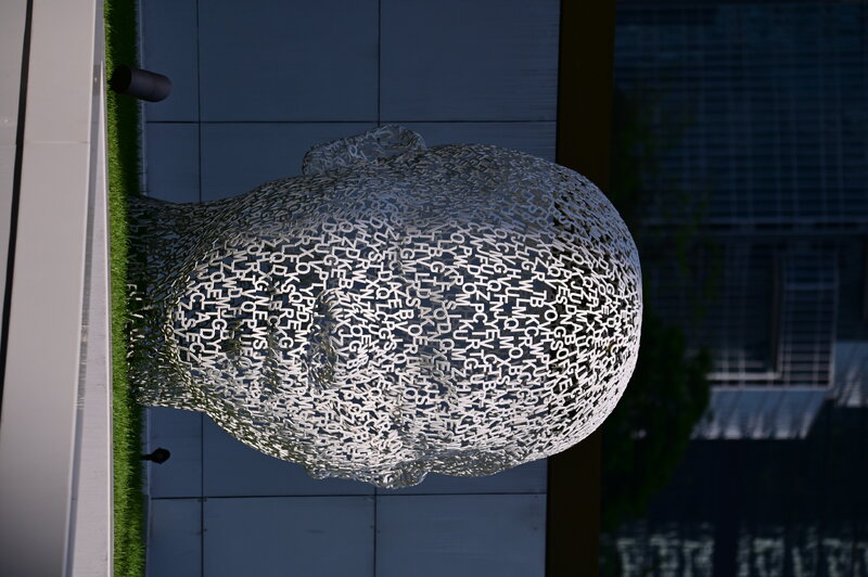 20260430021.JPG