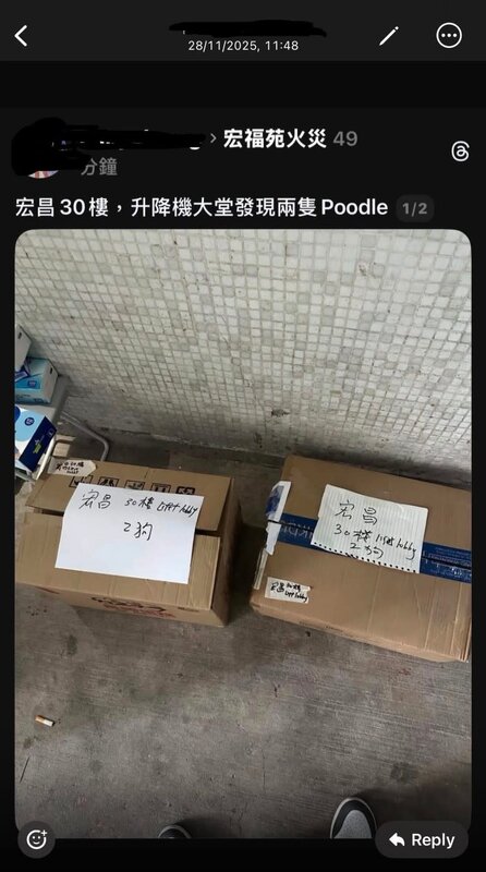 4 該名網民貼上兩隻寵物狗的遺體。.jpg