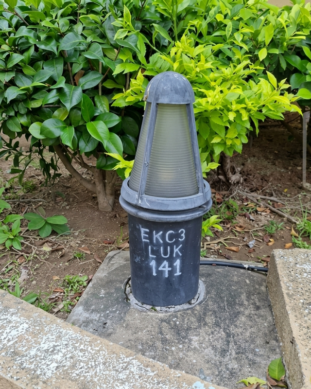 image_12181159(1).png