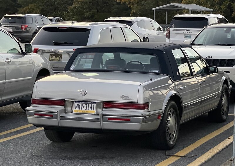 30932935a.jpg