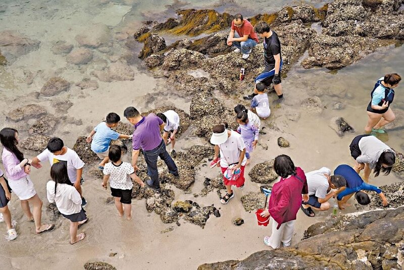 黃金周首日，西貢橋咀廈門灣泳灘岩岸邊有大量遊人挖掘海岸生物。.jpg