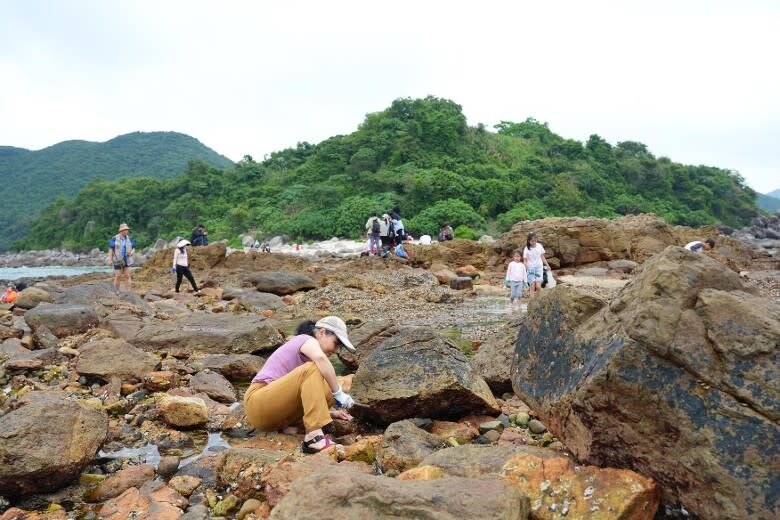3 有遊人於「橋頭」海岸挖掘海岸生物。.jpg