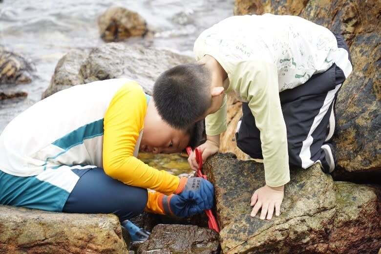 1 石灘有遊人以工具挖掘及鏟走岩石附近的生物。.jpg