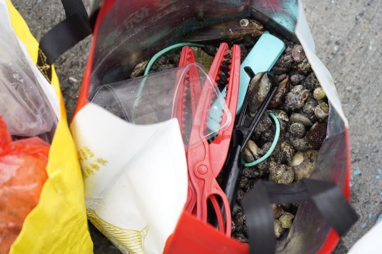2 有遊人攜帶金屬工具及長鉗挖掘海岸生物，並以保温袋裝起大量海螺。.jpg