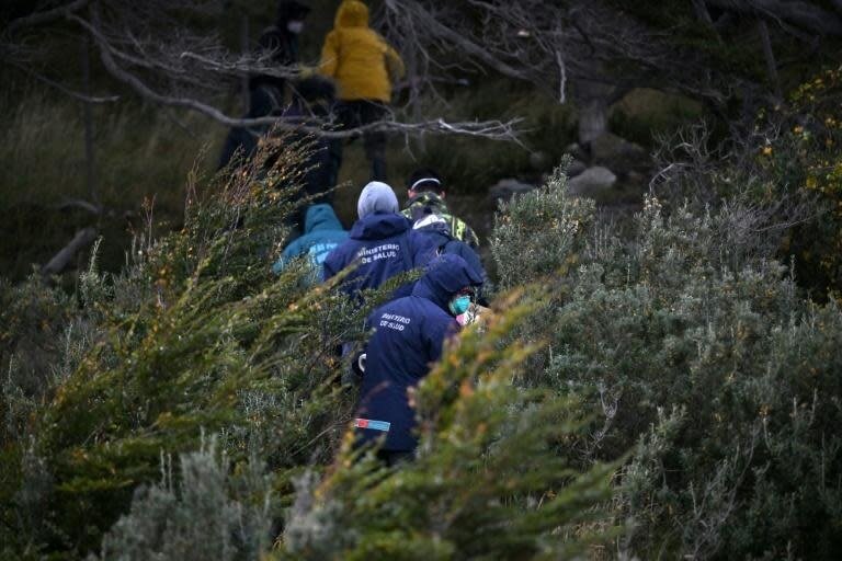 阿根廷科學家設置捕鼠陷阱 追蹤郵輪漢他病毒疫情來源.jpg