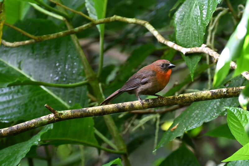 DSC_9956.JPG