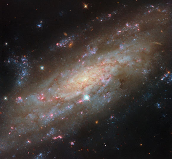 image_14735-NGC-3137.jpg