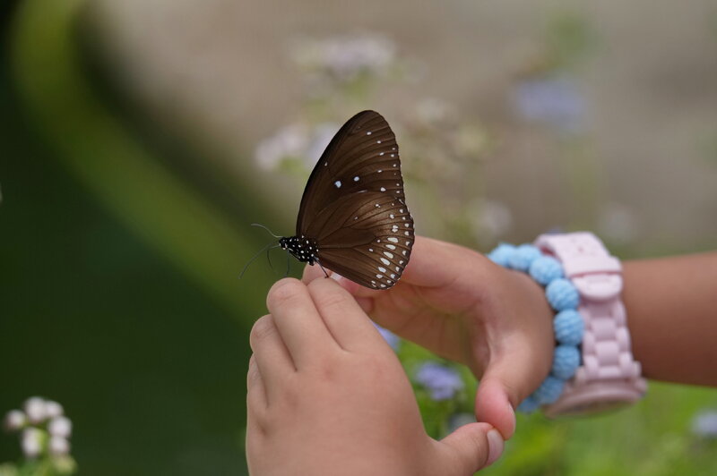 20260609155.jpg