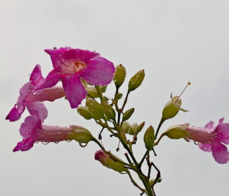 IMG_160227.jpg