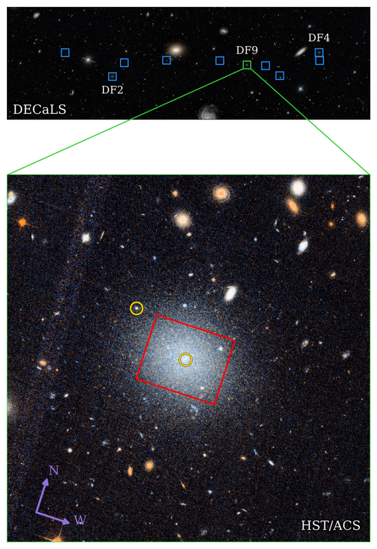 DF9-1-704x1024.png