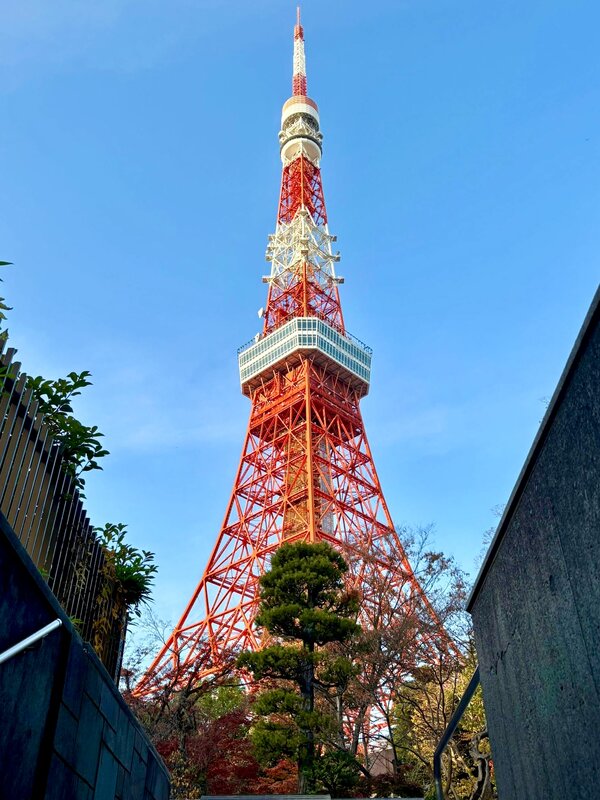 IMG_8618.jpeg